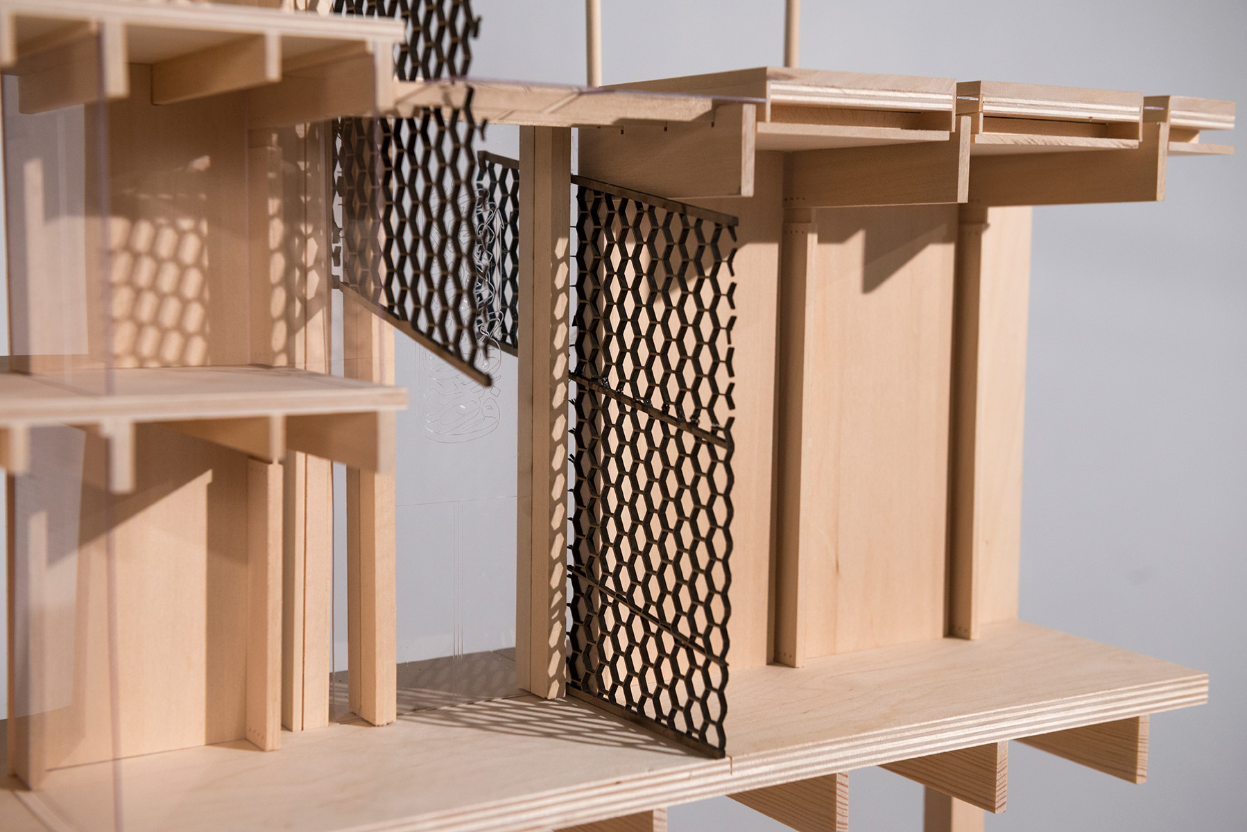 section model