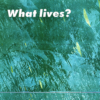 What lives?